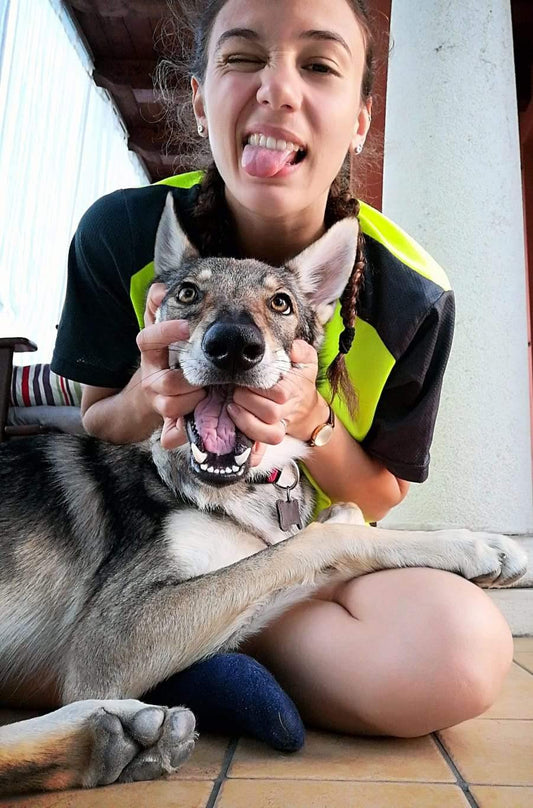 La storia di Sara ed Era una lupa cecoslovacca dal cuore immenso. - artpetfood