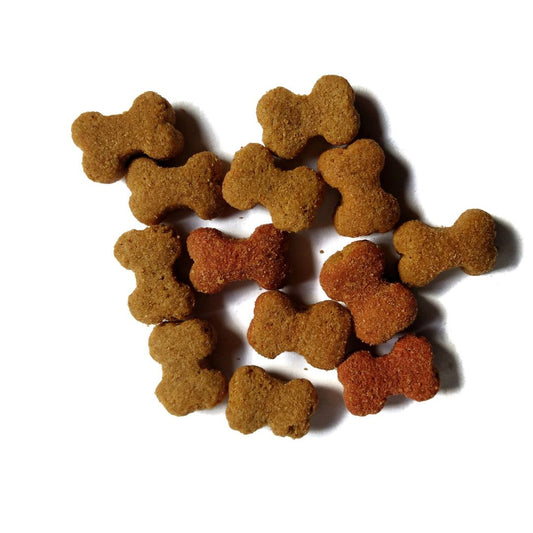 Proteine Idrolizzate nei Mangimi per Cani e Gatti: Vantaggi e Utilizzo