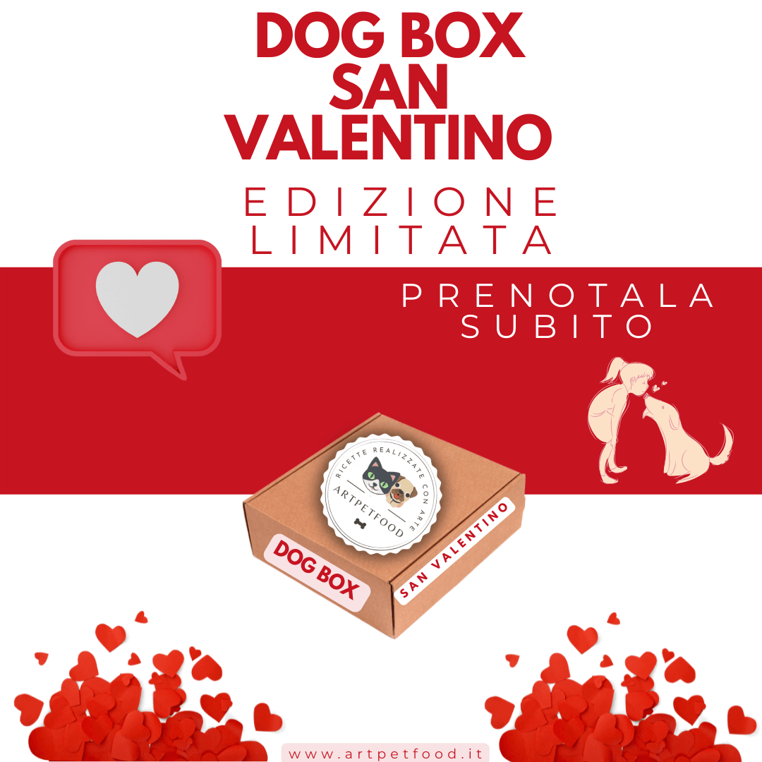 ARTPETFOOD - MISTERY BOX CANE SAN VALENTINO - artpetfood
