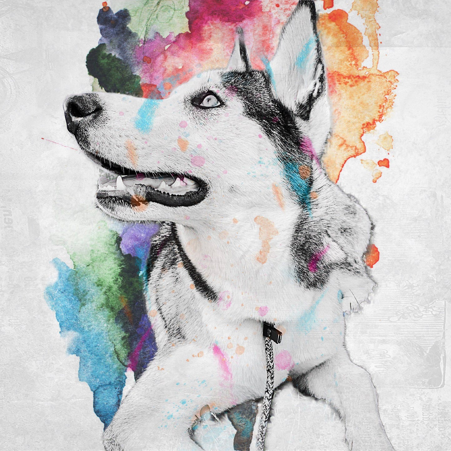 DOG ARTPETBOX SPORT - artpetfood