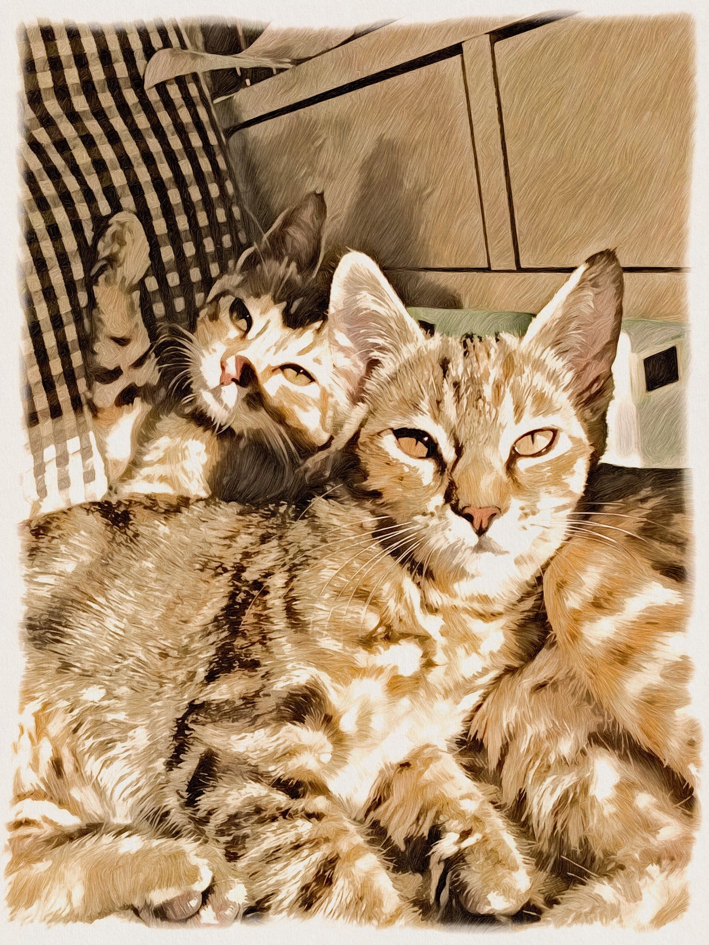 ARTPETBOX COMPLEANNO PER CANE E GATTO - artpetfood