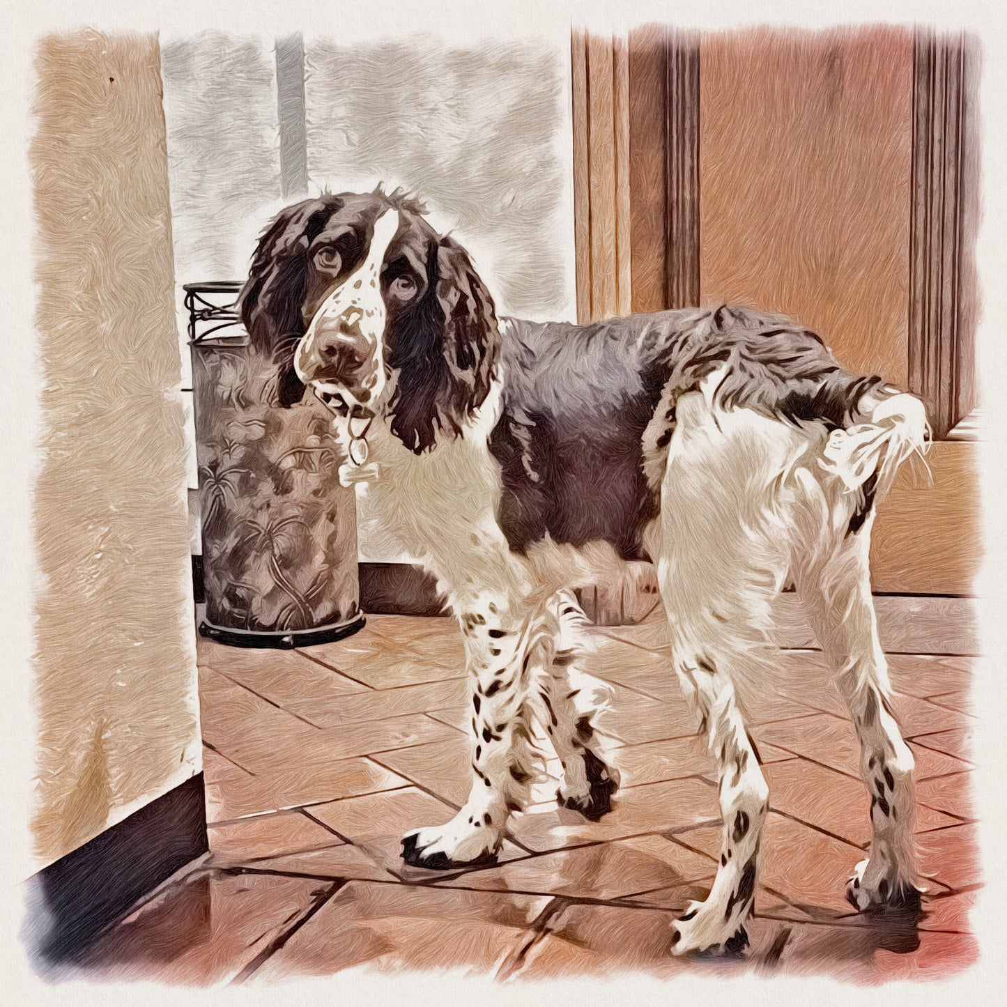 ARTPETBOX COMPLEANNO PER CANE E GATTO - artpetfood
