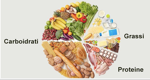 I MACRONUTRIMENTI. ( PROTEINE , LIPIDI E CARBOIDRATI) - artpetfood