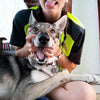 La storia di Sara ed Era una lupa cecoslovacca dal cuore immenso. - artpetfood