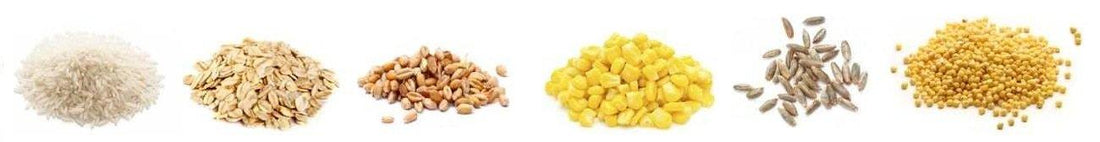 I CARBOIDRATI NELL'ALIMENTAZIONE DEL CANE - artpetfood