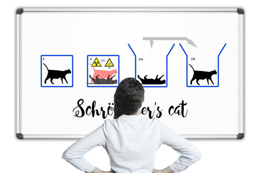 ll gatto di schrödinger - artpetfood