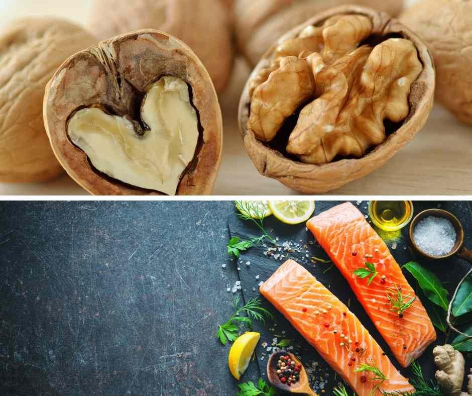 OMEGA 3 E OMEGA 6 NELL’ALIMENTAZIONE - artpetfood
