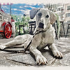MASTICATIVI PER CANI
