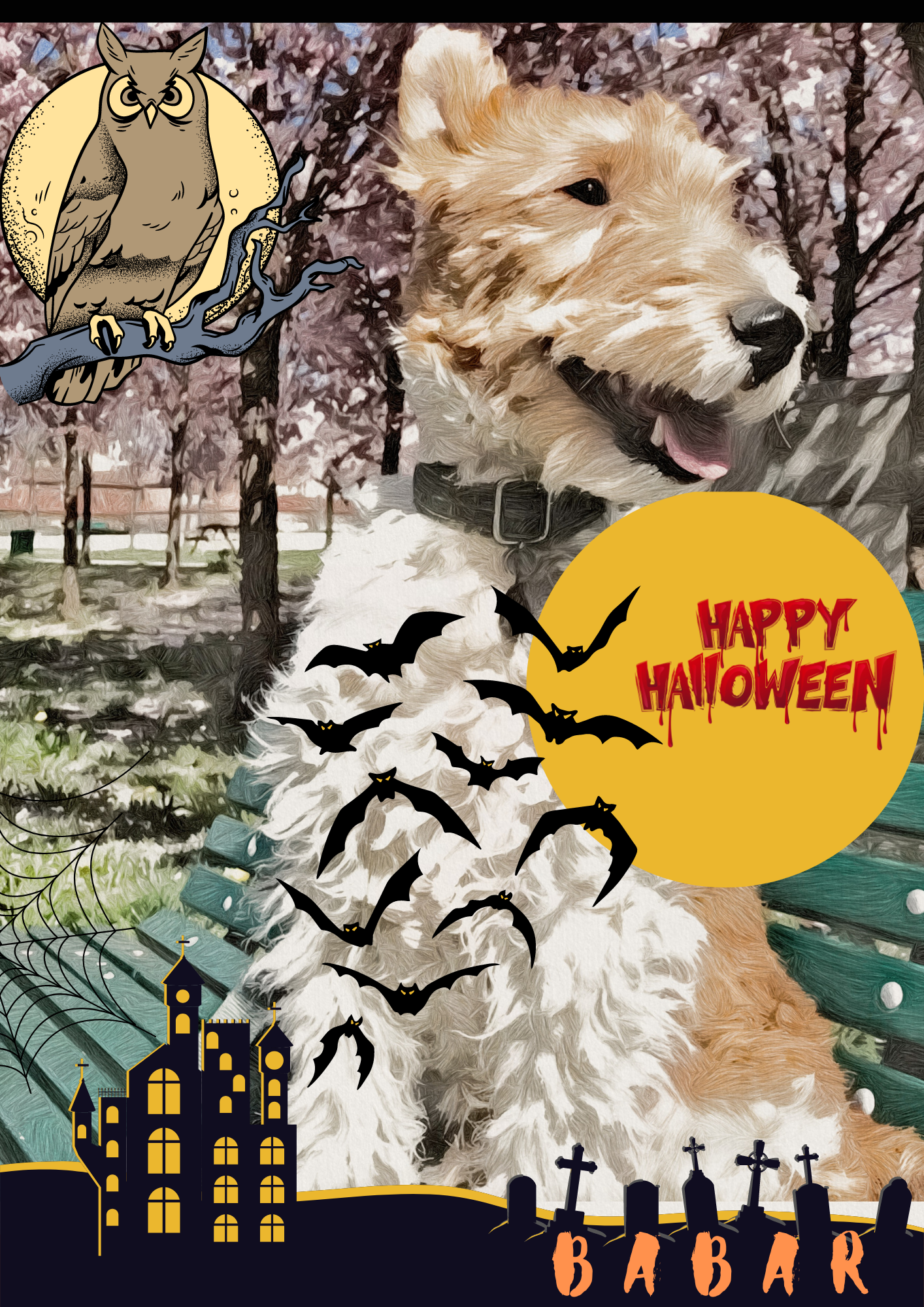 MISTERY BOX HALLOWEEN PER Cani e Gatti - artpetfood