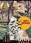 MISTERY BOX HALLOWEEN PER Cani e Gatti - artpetfood