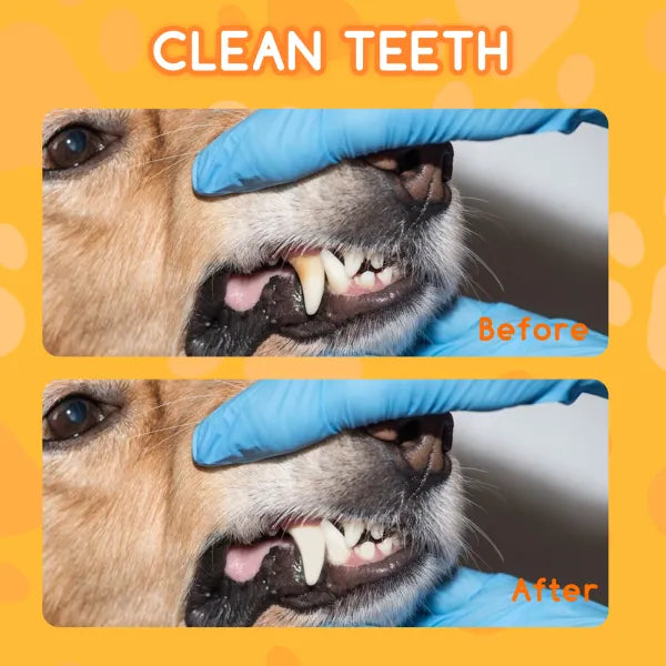 Bastoncini pressati di Pelle Bovina 4 pz da 12,5 cm