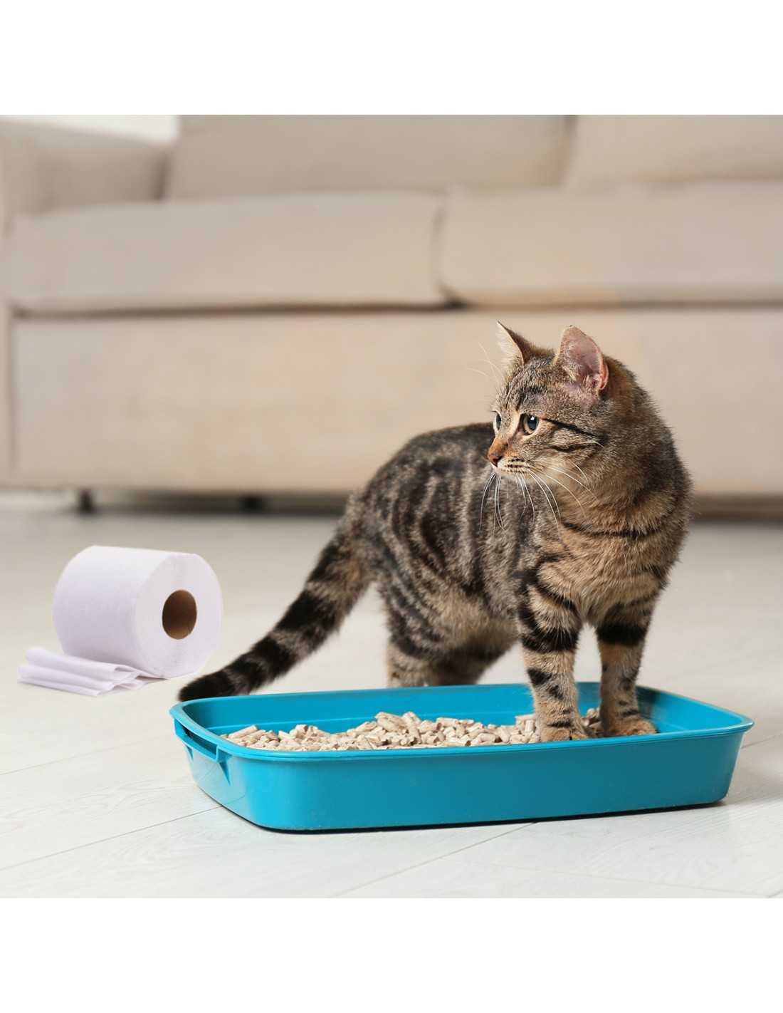 Catigienica Lettiera per gatti in carta riciclata 12 l