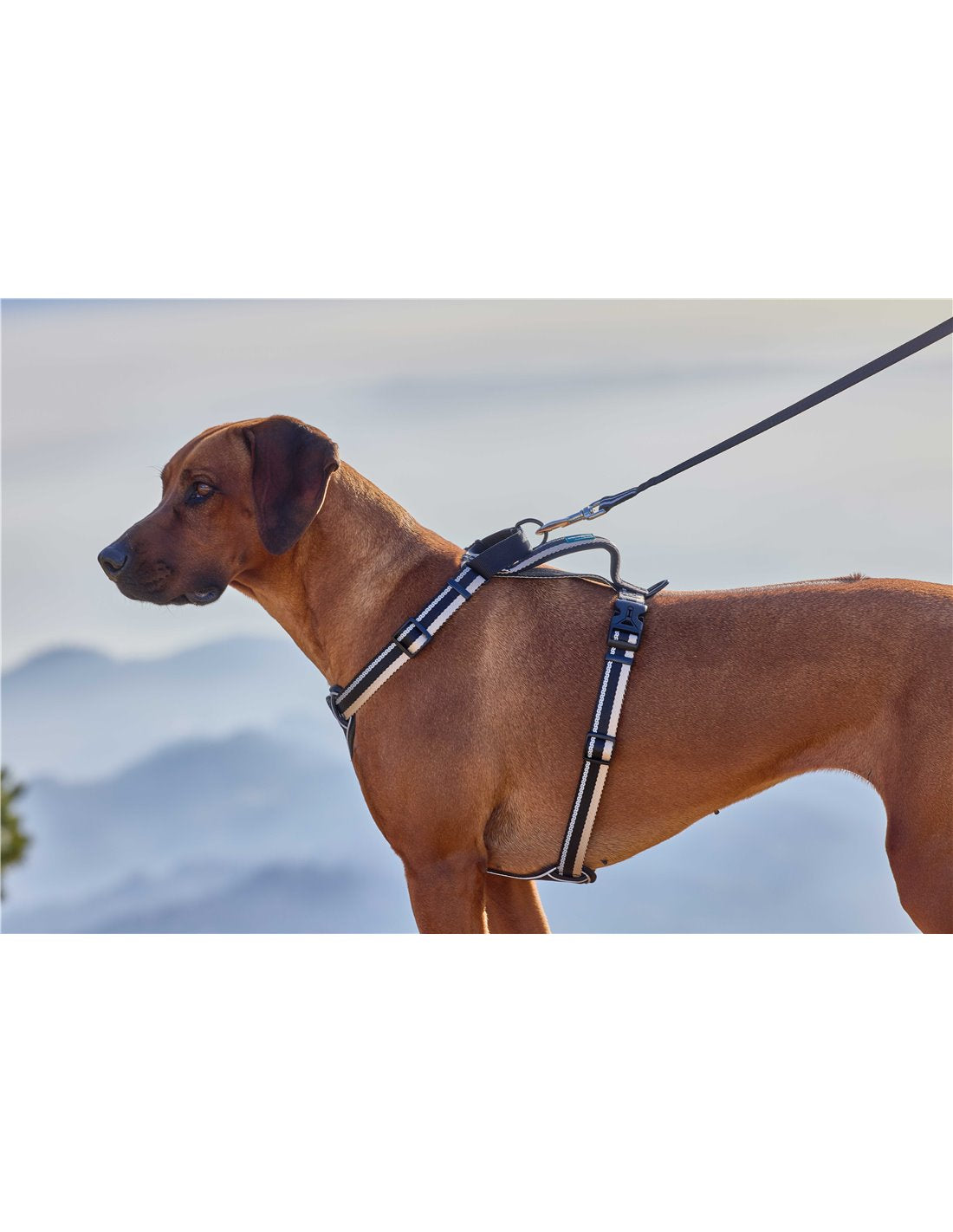 Farm Company GUINZAGLIO MULTIFUNZIONE NYLON DELUXE REFLECT