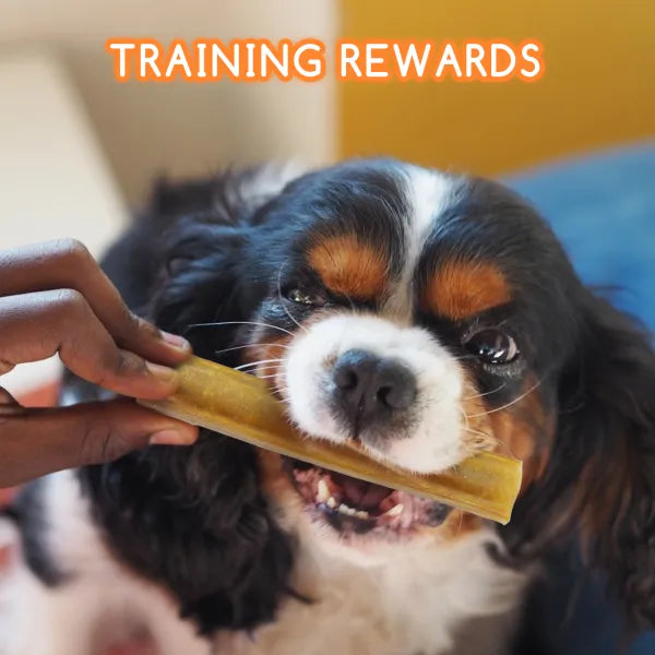 Bastoncini pressati di Pelle Bovina 4 pz da 12,5 cm