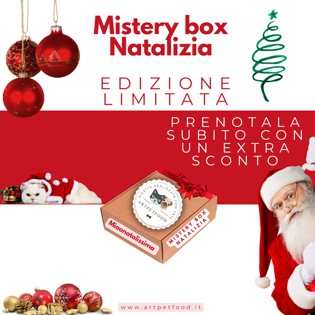 MISTERY BOX NATALE PER CANE E GATTO - artpetfood