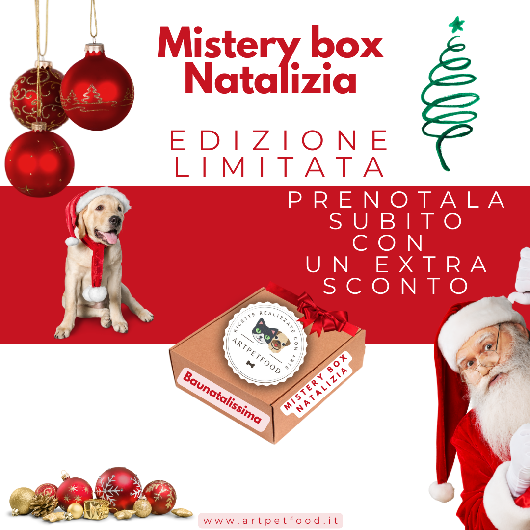 MISTERY BOX NATALE PER CANE E GATTO - artpetfood
