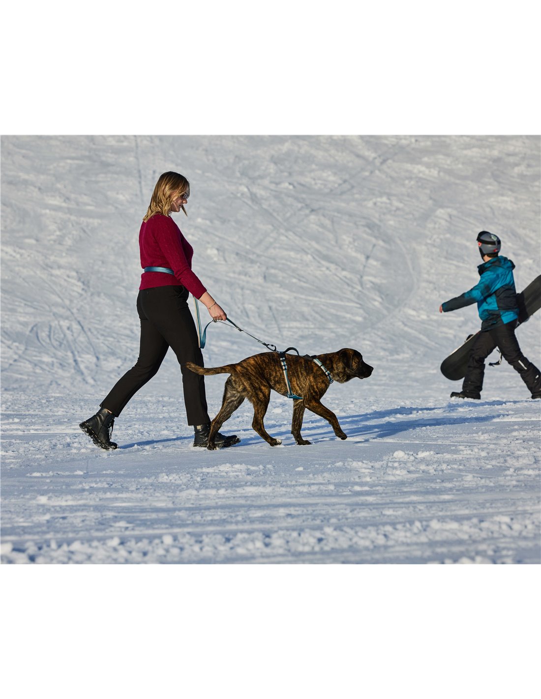 Farm Company GUINZAGLIO MULTIFUNZIONE NYLON DELUXE REFLECT