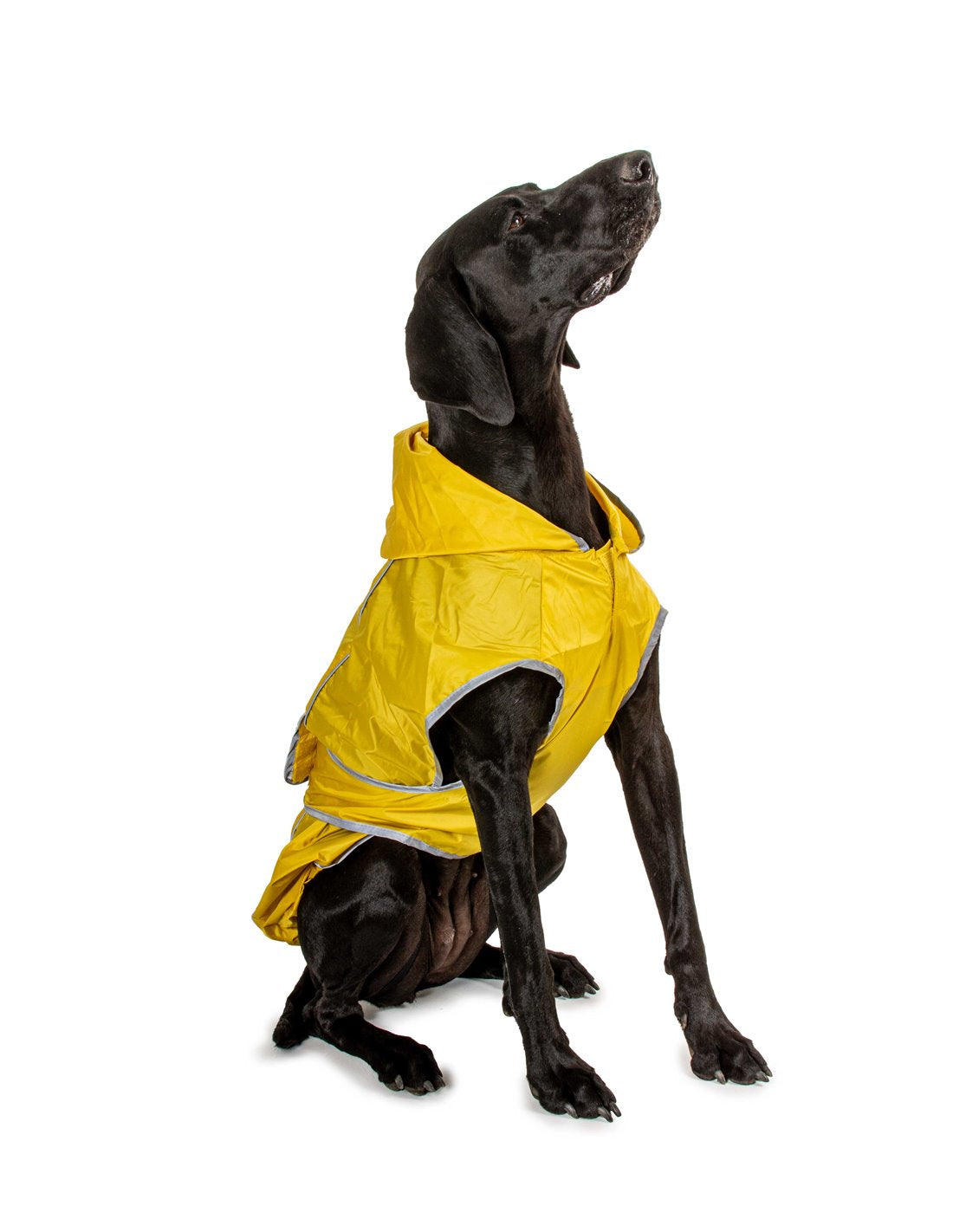 Farm Company IMPERMEABILE ACTIVE