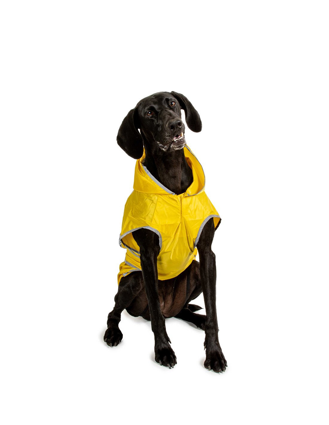 Farm Company IMPERMEABILE ACTIVE