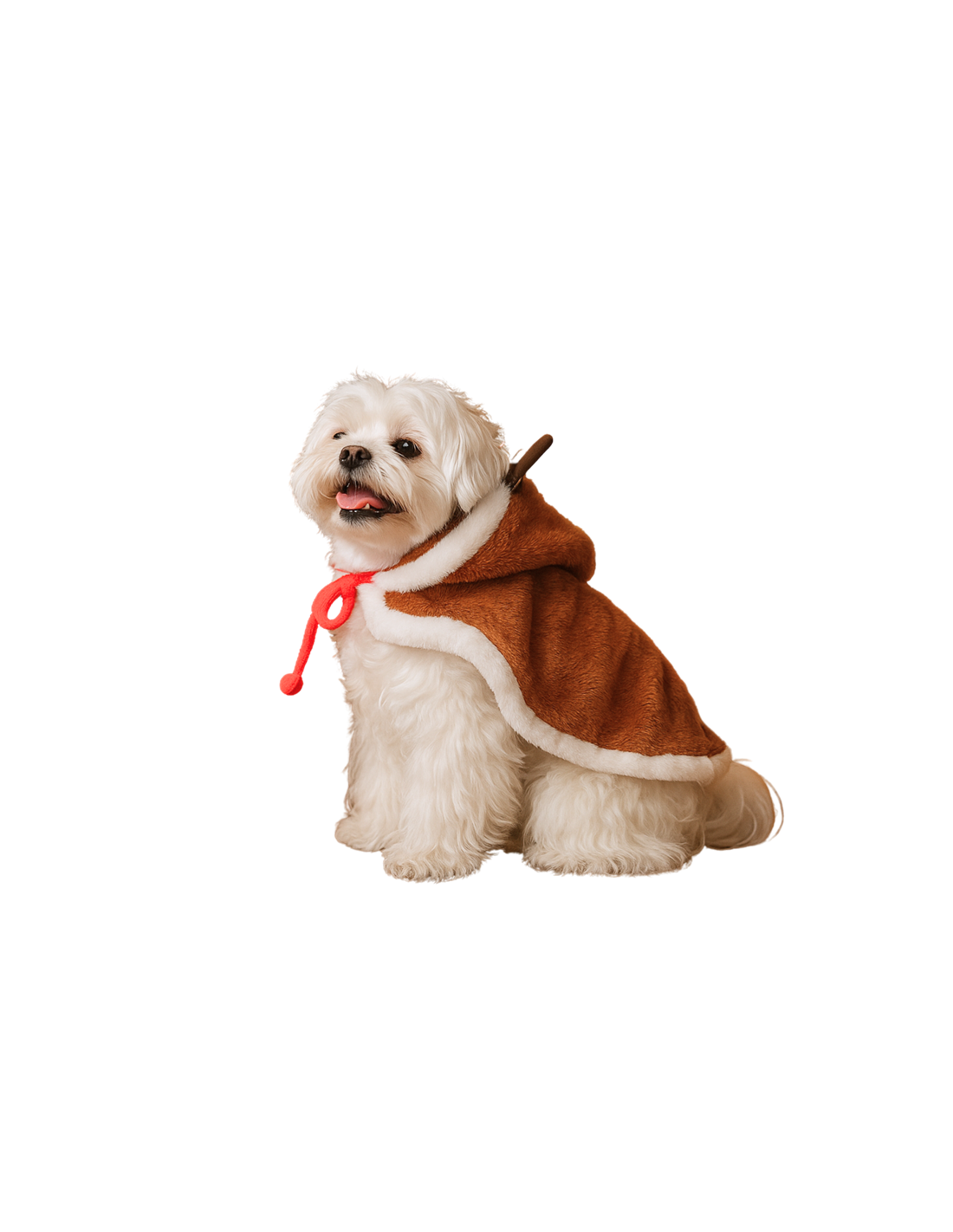 Farm Company MANTELLA NATALIZIA