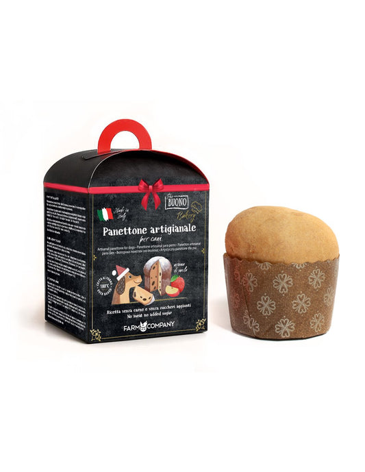 PIU BUONO PANETTONE ARTIGIANALE PER CANI