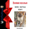 Buono Regalo Artpetfood