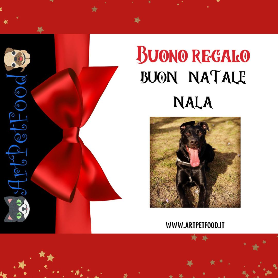 Buono Regalo Artpetfood