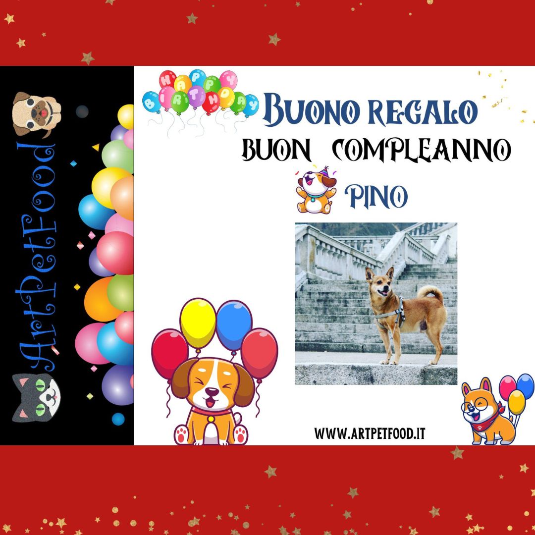 Buono Regalo Artpetfood