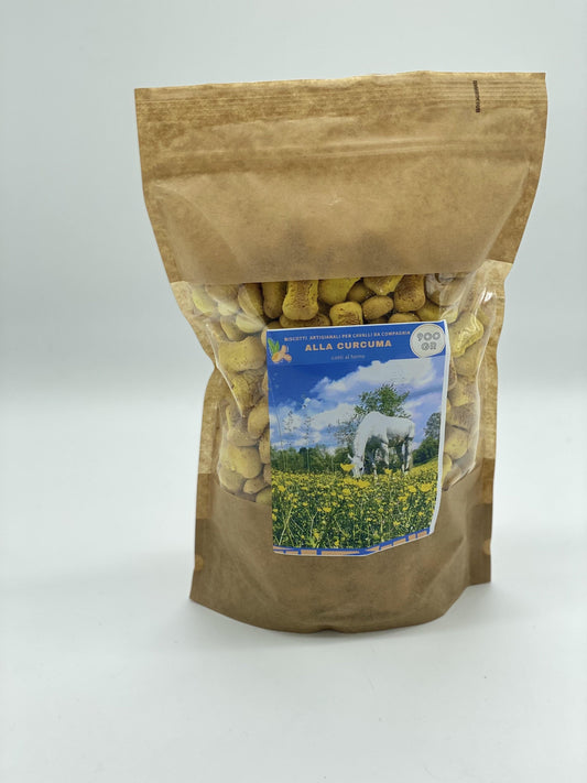 BISCOTTI PER CAVALLI DA COMPAGNIA CON CURCUMA - artpetfood