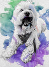 ARTPETBOX COMPLEANNO PER CANE E GATTO - artpetfood