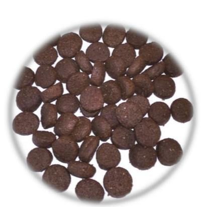 ALIMENTO PER CANI ADULTI CON TROTA SENZA CEREALI E SENZA GLUTINE - artpetfood