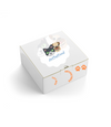 CAT ARTPETBOX PROVA ALIMENTI GATTI - artpetfood