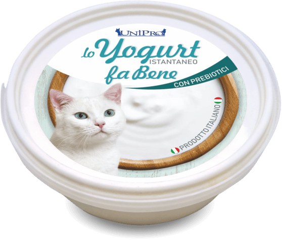 Yogurt cremoso instantaneo per gatti da 20 gr - artpetfood