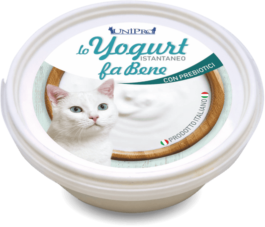 Yogurt cremoso instantaneo per gatti da 20 gr - artpetfood