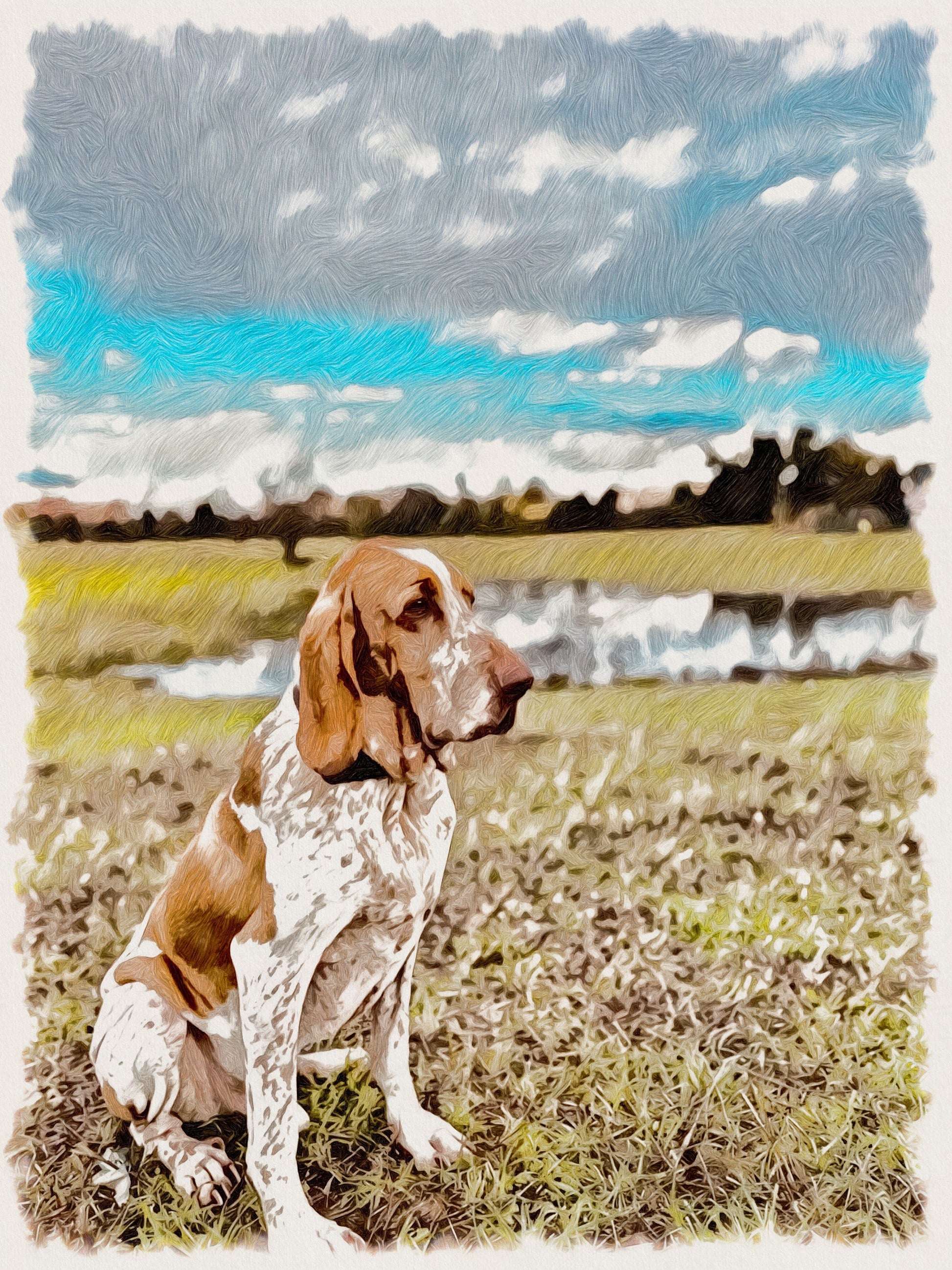 ARTPETBOX COMPLEANNO PER CANE E GATTO - artpetfood
